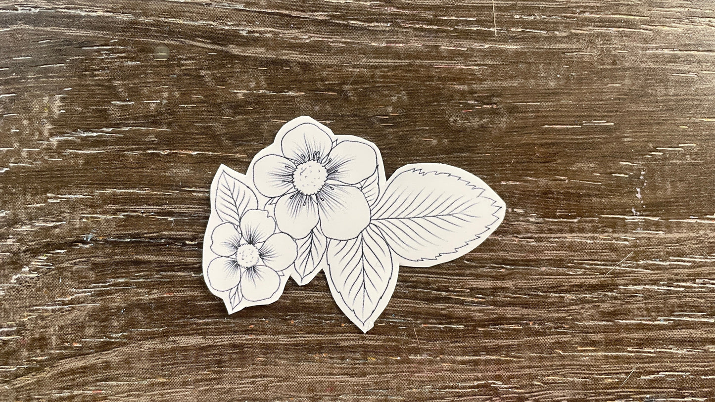 Color Me In Decals Set #3: Flowers