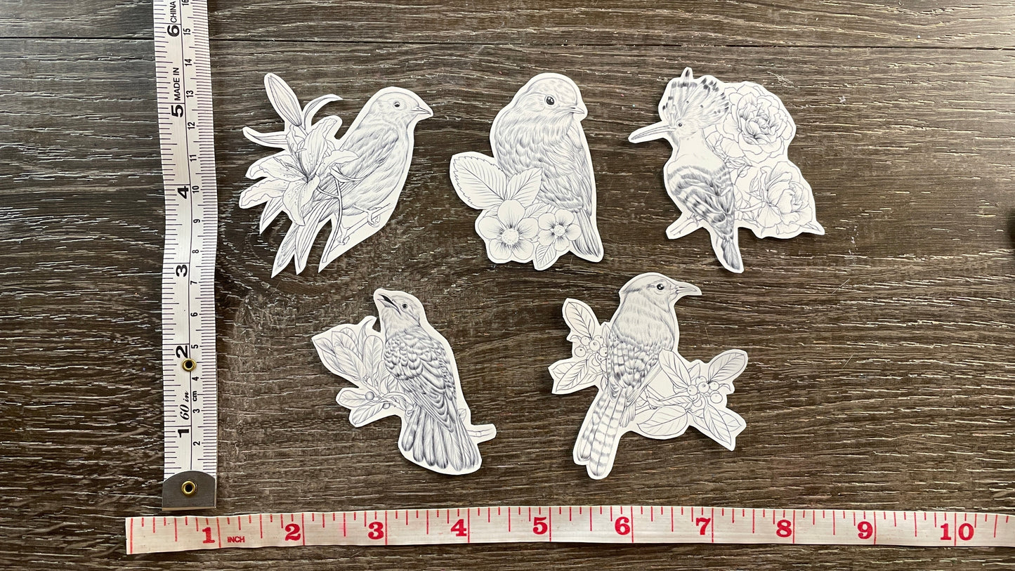 Color Me In Decals Set #2: Birds