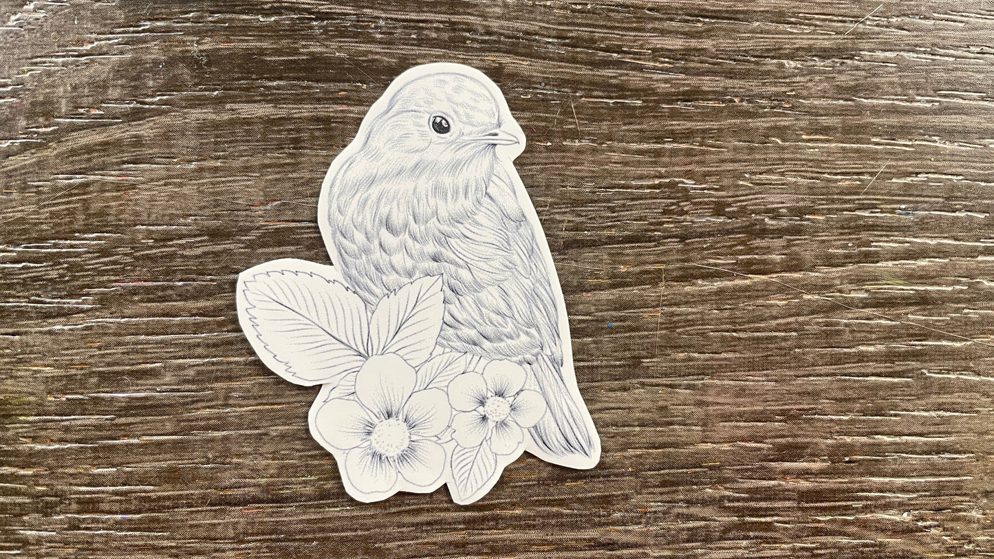 Color Me In Decals Set #2: Birds