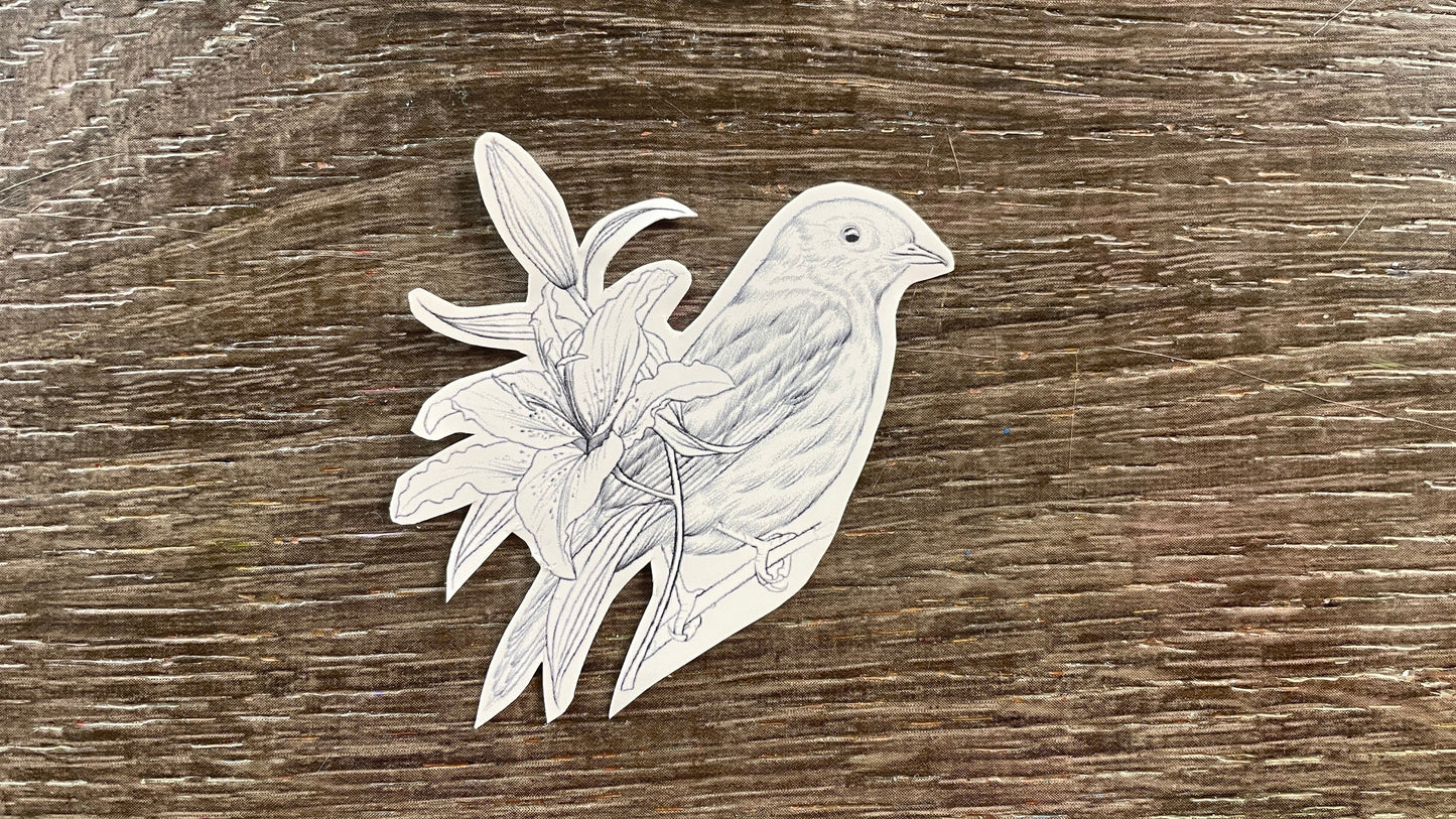 Color Me In Decals Set #2: Birds