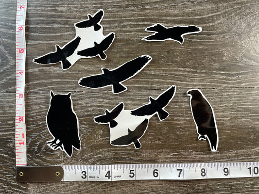 Set #28-A set of 5 Birds of Prey Silhouette Vinyl Decals