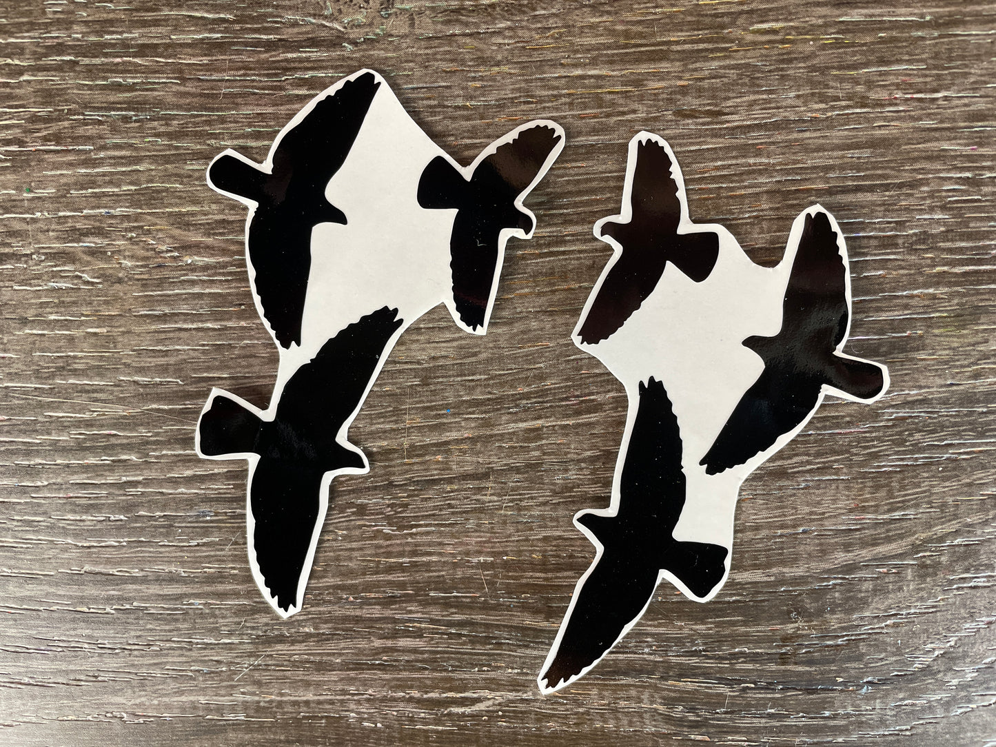 Set #28-A set of 5 Birds of Prey Silhouette Vinyl Decals